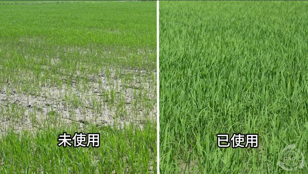 1721099339896820.jpg 387.jpg