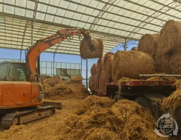 1721099930319921.png c7c4a43f-738a-40a5-860f-21953f2456f2.png