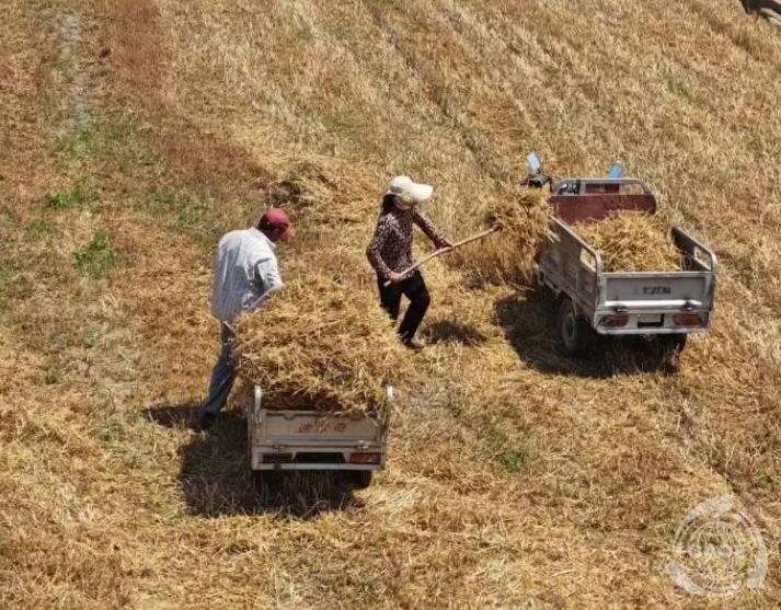 1721099957370084.png c662a3a9-15d3-43a9-aa45-84983f8f3b0f.png