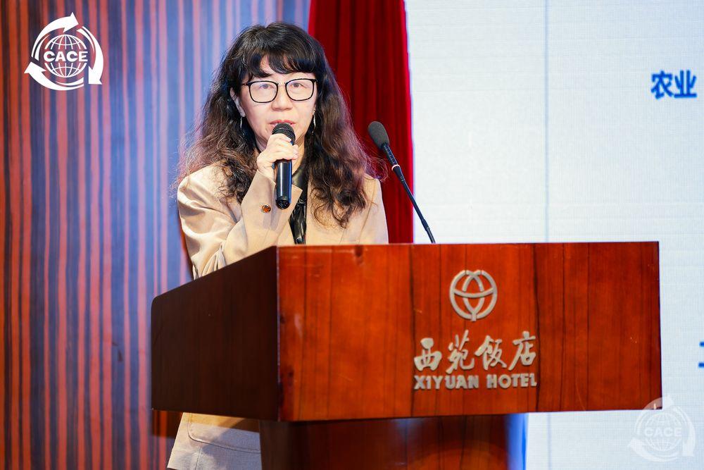 1730355488653512.jpg 徐世美_网站.jpg