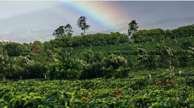 1750228265898724.jpg 图片6.jpg